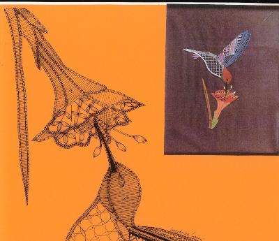 Modèle SL colibri